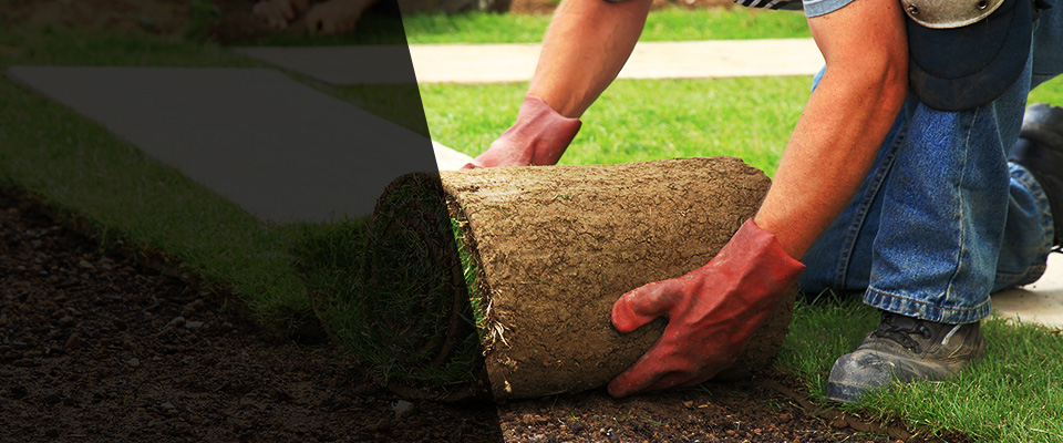 Aberdeen Landscapers